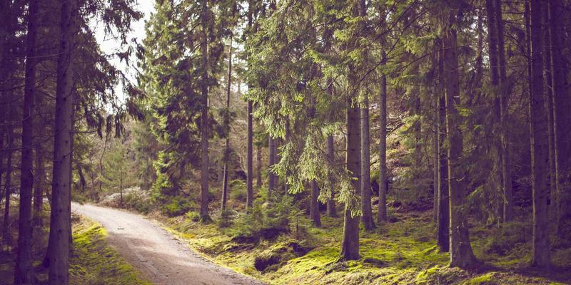 从矿区到腕间：揭秘时尚手镯背后的伦理采购与供应链透明化