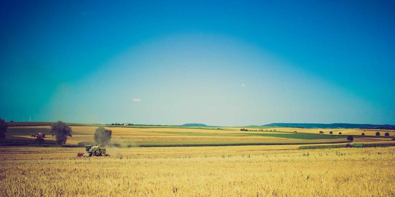 戒指与手镯的时尚巅峰：苏富比拍卖行中创纪录的稀缺宝石市场分析