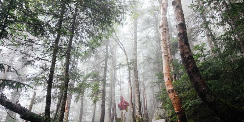 时尚珠宝在线商城：东方美学三大绝艺的现代演绎