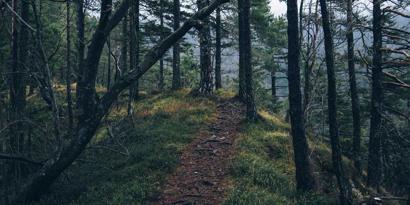 珠宝16：项链、戒指与首饰的永恒魅力与当代选择指南