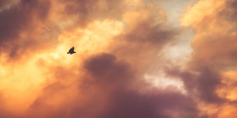 珠宝38：探索首饰、珠宝与时尚的永恒对话