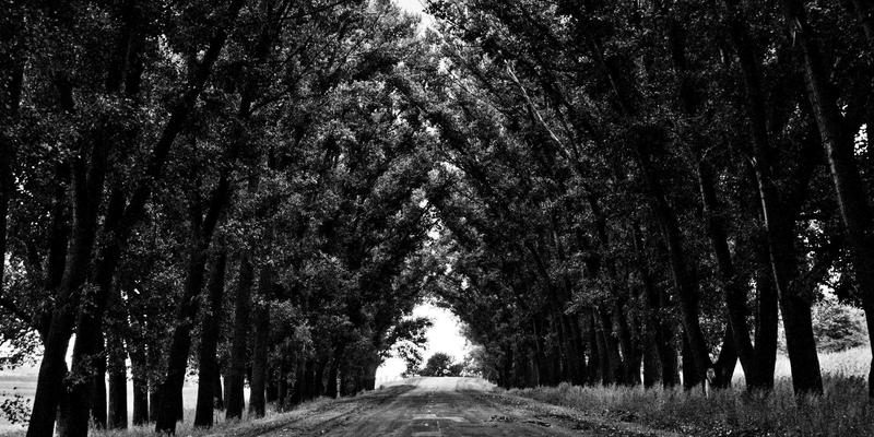 珠宝56：在线商城如何重塑钻石首饰消费新体验