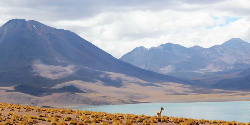 珠宝90：手镯、钻石与当代珠宝艺术的融合美学