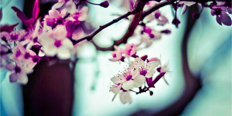 珠宝投资入门：哪些品类的宝石与时尚耳环具有保值与升值潜力