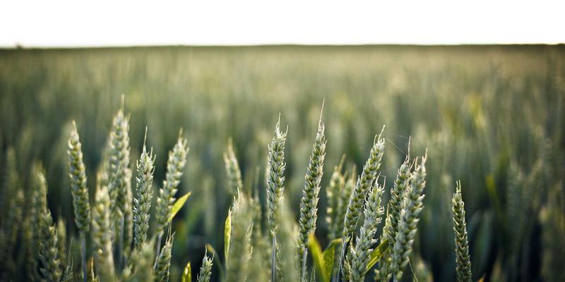 蒸汽波美学入侵珠宝界：赛博朋克耳环如何重塑时尚表达